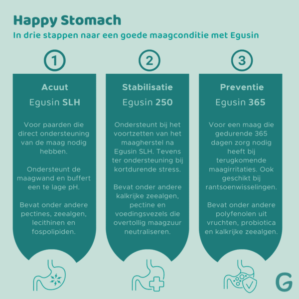 Egusin SLH  (acuut) - Afbeelding 3