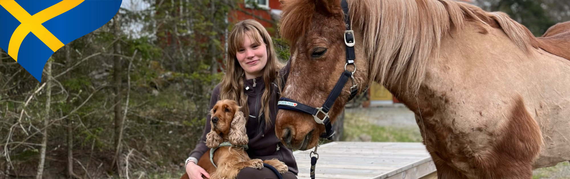 Isa Weterberg icelandic horses