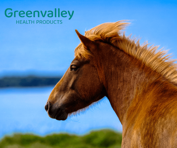 Natuurlijk paardenzad2013 voor gezonde paarden, vrij van chemicaliën, ideaal voor duurzame paardenverzorging.